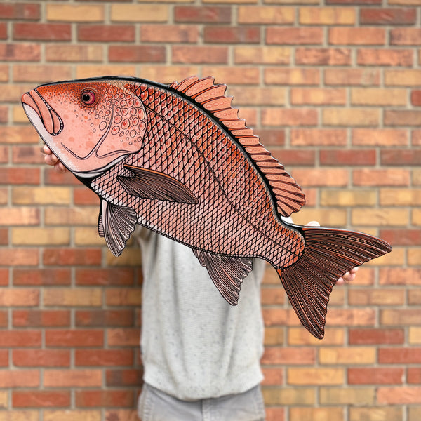 Red Snapper || Print Mount || 30"