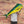 Load image into Gallery viewer, Mahi Mahi || Print Mount || 38"
