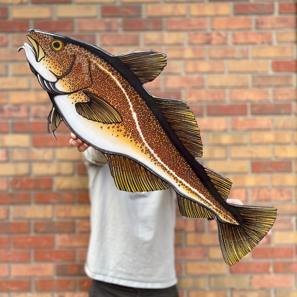 Atlantic Cod || Print Mount || 30"