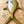 Load image into Gallery viewer, Crevalle Jack || Print Mount || 28"
