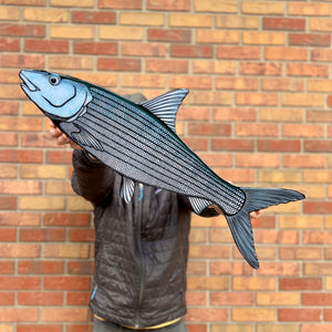 Large Bonefish Wall Art 