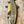 Load image into Gallery viewer, Lake Trout || Print Mount || 30"
