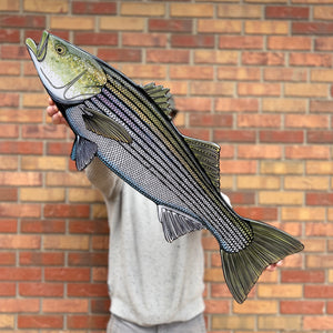 Vibrant Striped Bass Artwork For Sale