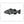 Load image into Gallery viewer, Black Grouper II Black and White Fine Art Print
