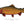 Load image into Gallery viewer, Colorado River Cutthroat II Color Fine Art Print
